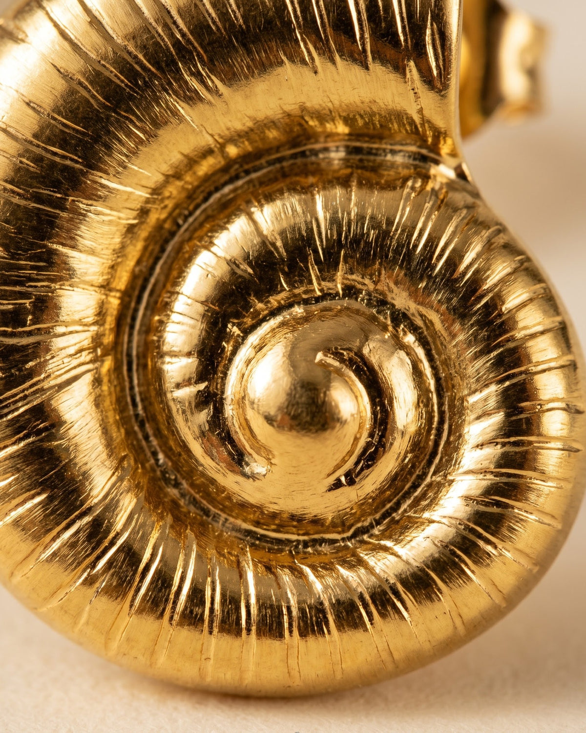 Solmare Spiral Shell Stud Earrings - Cinematic Shot