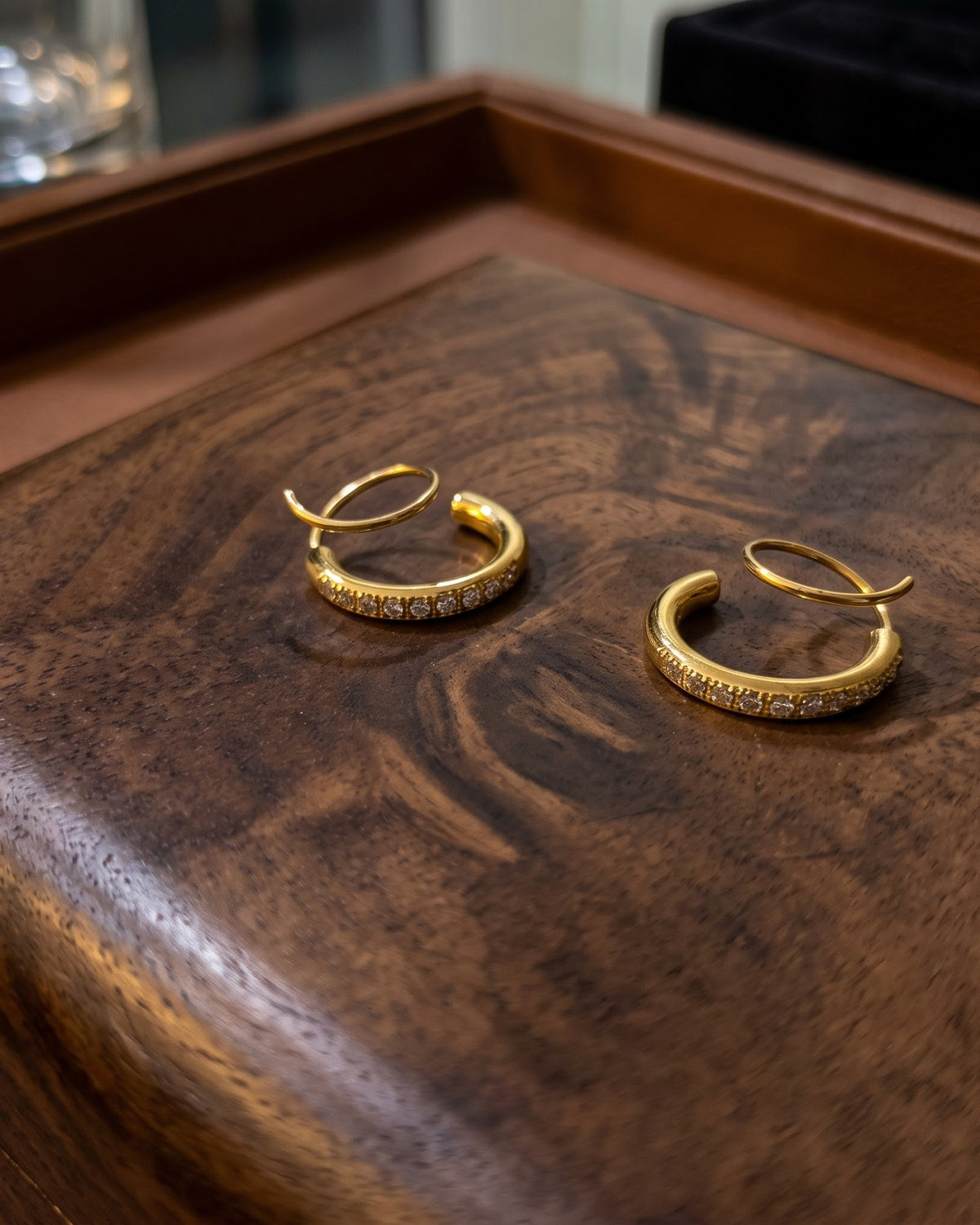 Solethra Twin Circle Dangle Earrings - hero view
