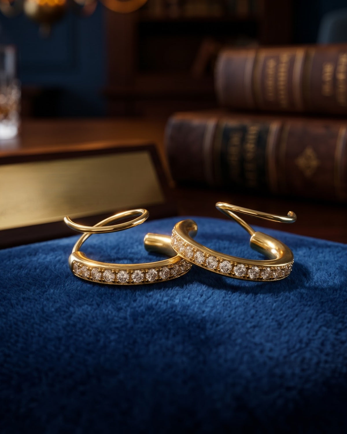 Solethra Twin Circle Dangle Earrings - close-up view